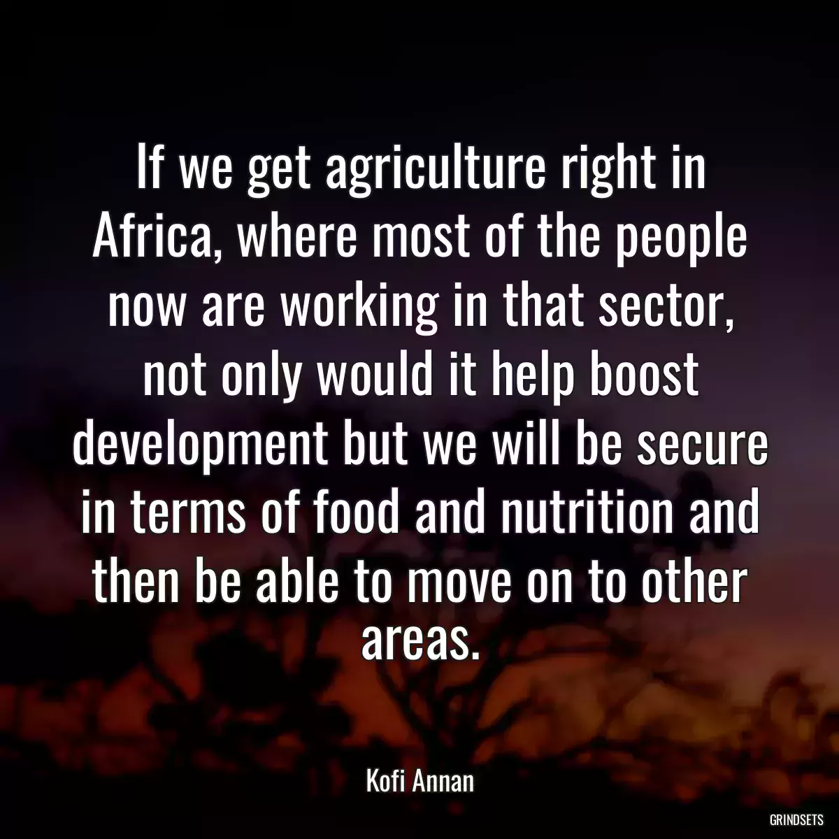 If we get agriculture right in Africa, where most of the people now are working in that sector, not only would it help boost development but we will be secure in terms of food and nutrition and then be able to move on to other areas.