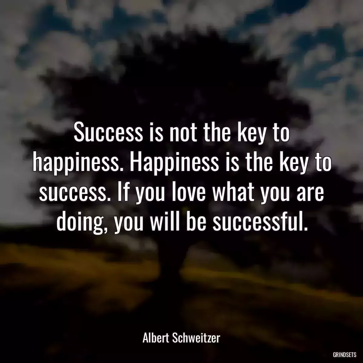 Success is not the key to happiness. Happiness is the key to success. If you love what you are doing, you will be successful.