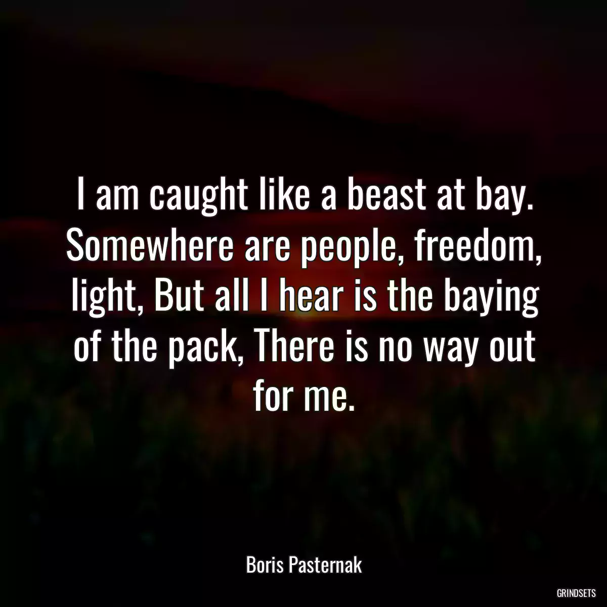 I am caught like a beast at bay. Somewhere are people, freedom, light, But all I hear is the baying of the pack, There is no way out for me.