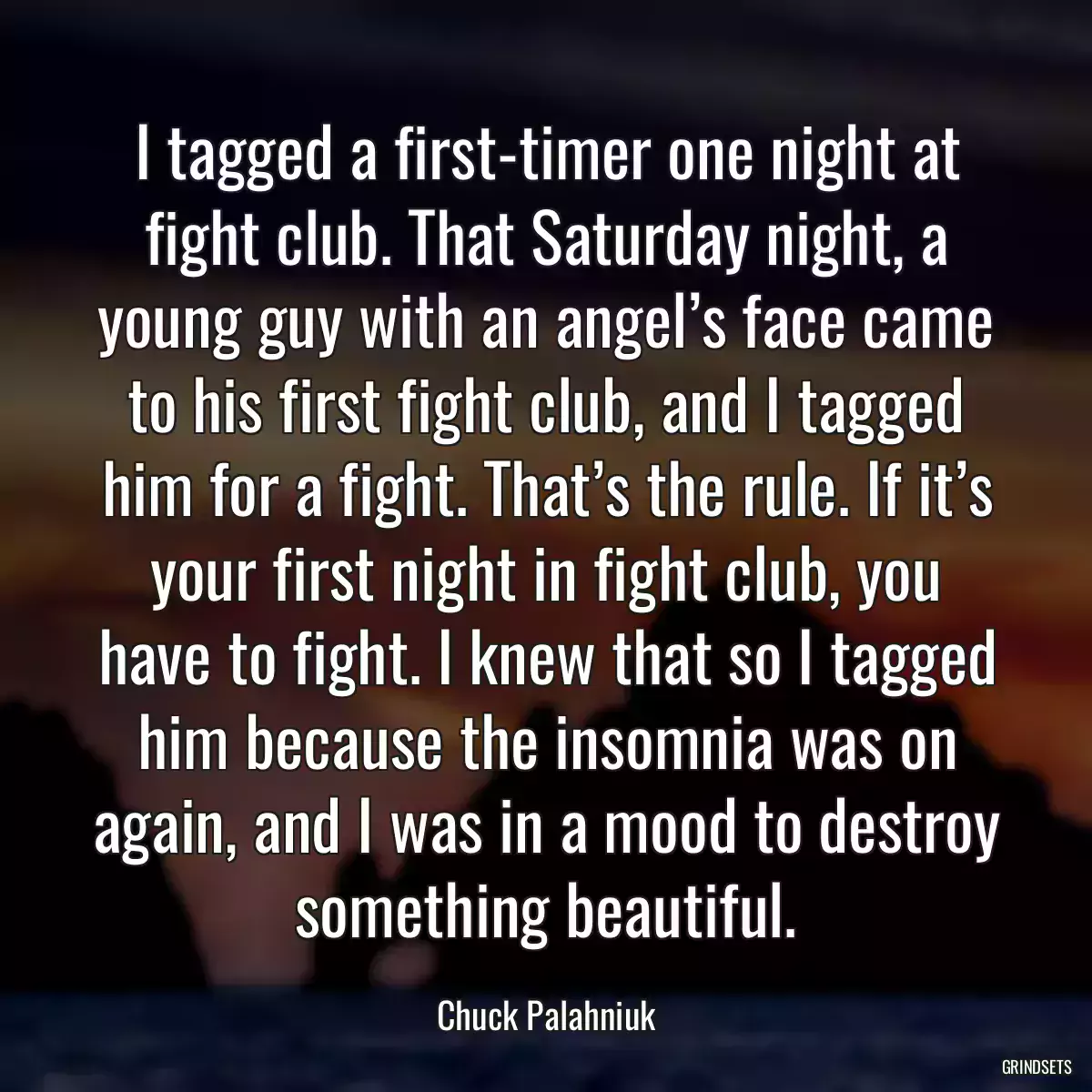 I tagged a first-timer one night at fight club. That Saturday night, a young guy with an angel’s face came to his first fight club, and I tagged him for a fight. That’s the rule. If it’s your first night in fight club, you have to fight. I knew that so I tagged him because the insomnia was on again, and I was in a mood to destroy something beautiful.