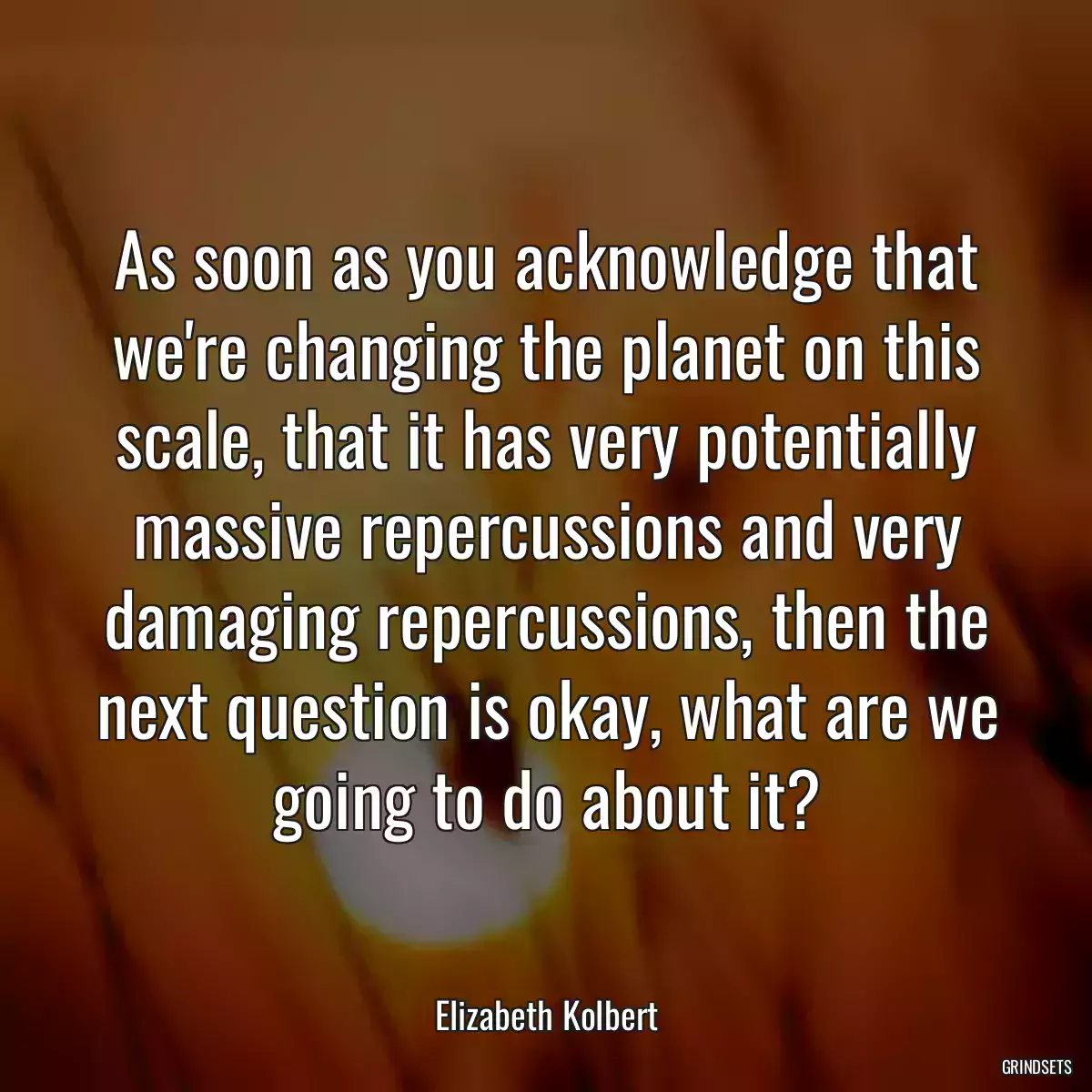 As soon as you acknowledge that we\'re changing the planet on this scale, that it has very potentially massive repercussions and very damaging repercussions, then the next question is okay, what are we going to do about it?