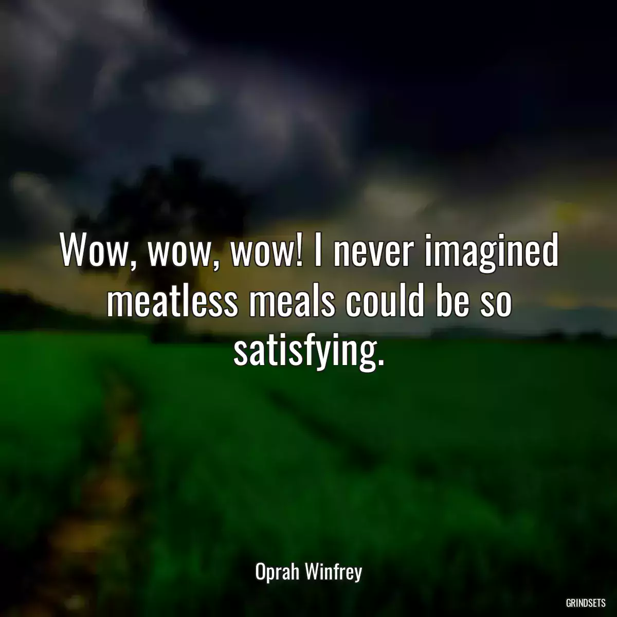 Wow, wow, wow! I never imagined meatless meals could be so satisfying.