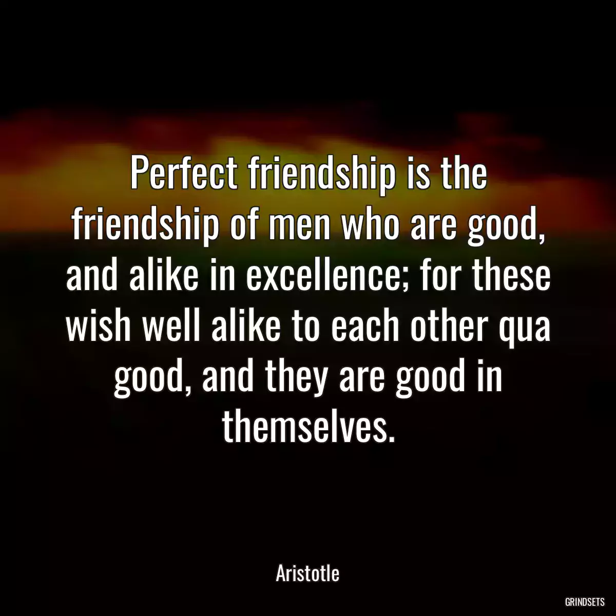 Perfect friendship is the friendship of men who are good, and alike in excellence; for these wish well alike to each other qua good, and they are good in themselves.