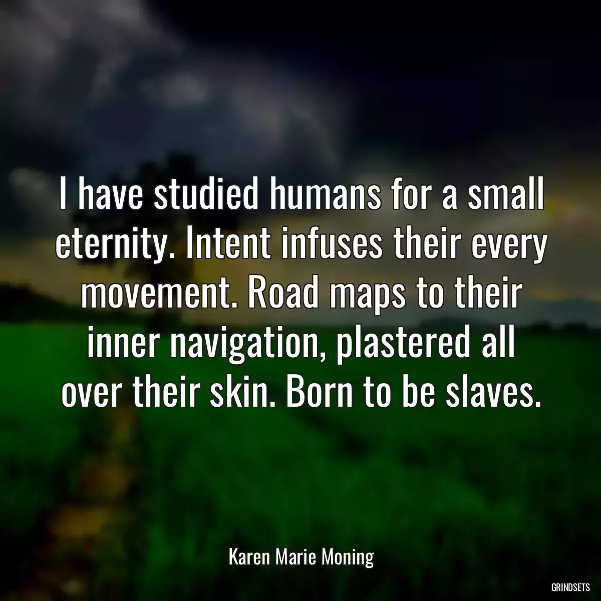 I have studied humans for a small eternity. Intent infuses their every movement. Road maps to their inner navigation, plastered all over their skin. Born to be slaves.