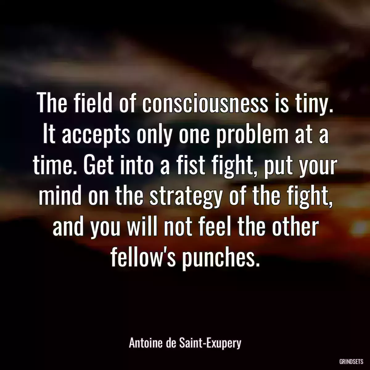 The field of consciousness is tiny. It accepts only one problem at a time. Get into a fist fight, put your mind on the strategy of the fight, and you will not feel the other fellow\'s punches.