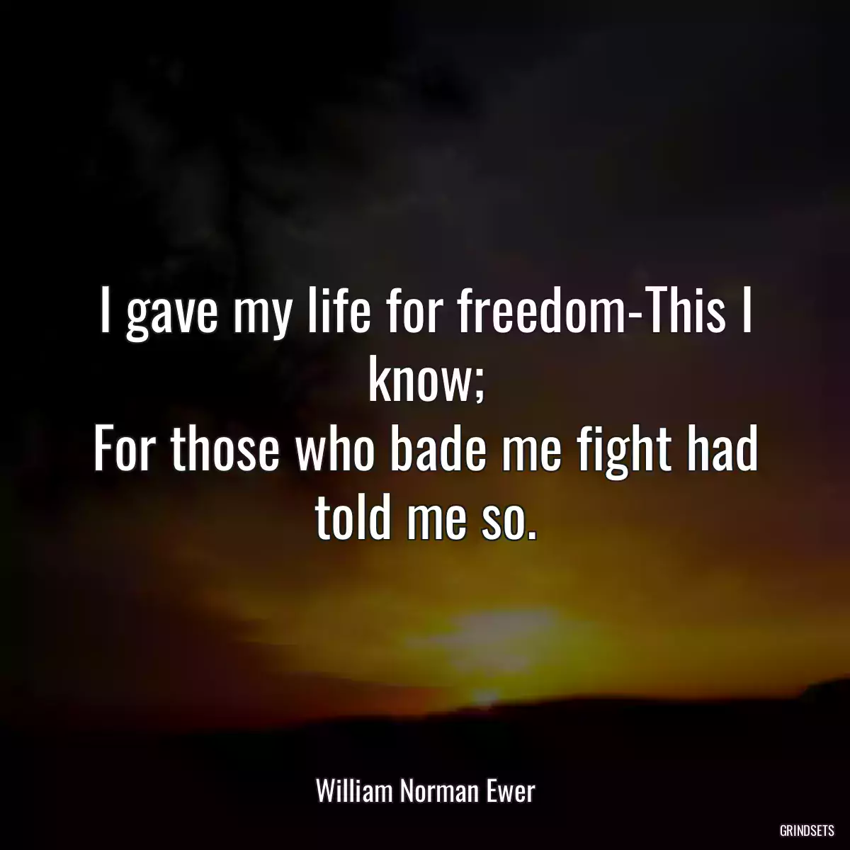 I gave my life for freedom-This I know;
For those who bade me fight had told me so.