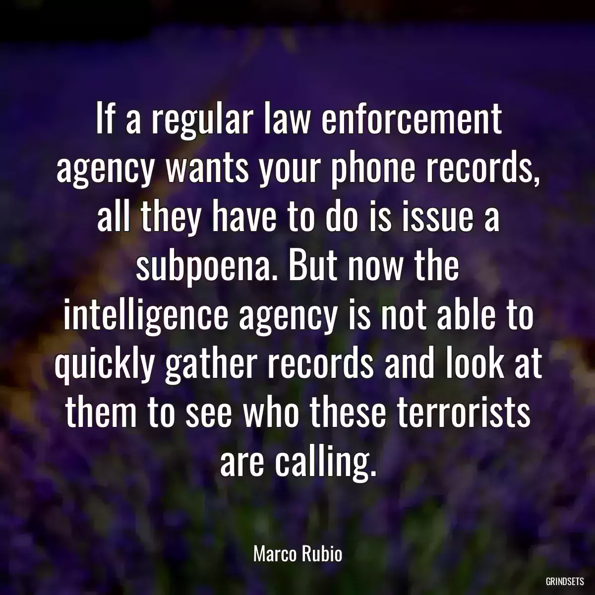 If a regular law enforcement agency wants your phone records, all they have to do is issue a subpoena. But now the intelligence agency is not able to quickly gather records and look at them to see who these terrorists are calling.