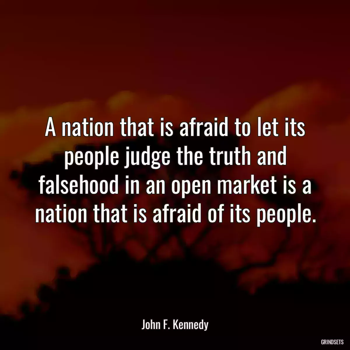 A nation that is afraid to let its people judge the truth and falsehood in an open market is a nation that is afraid of its people.