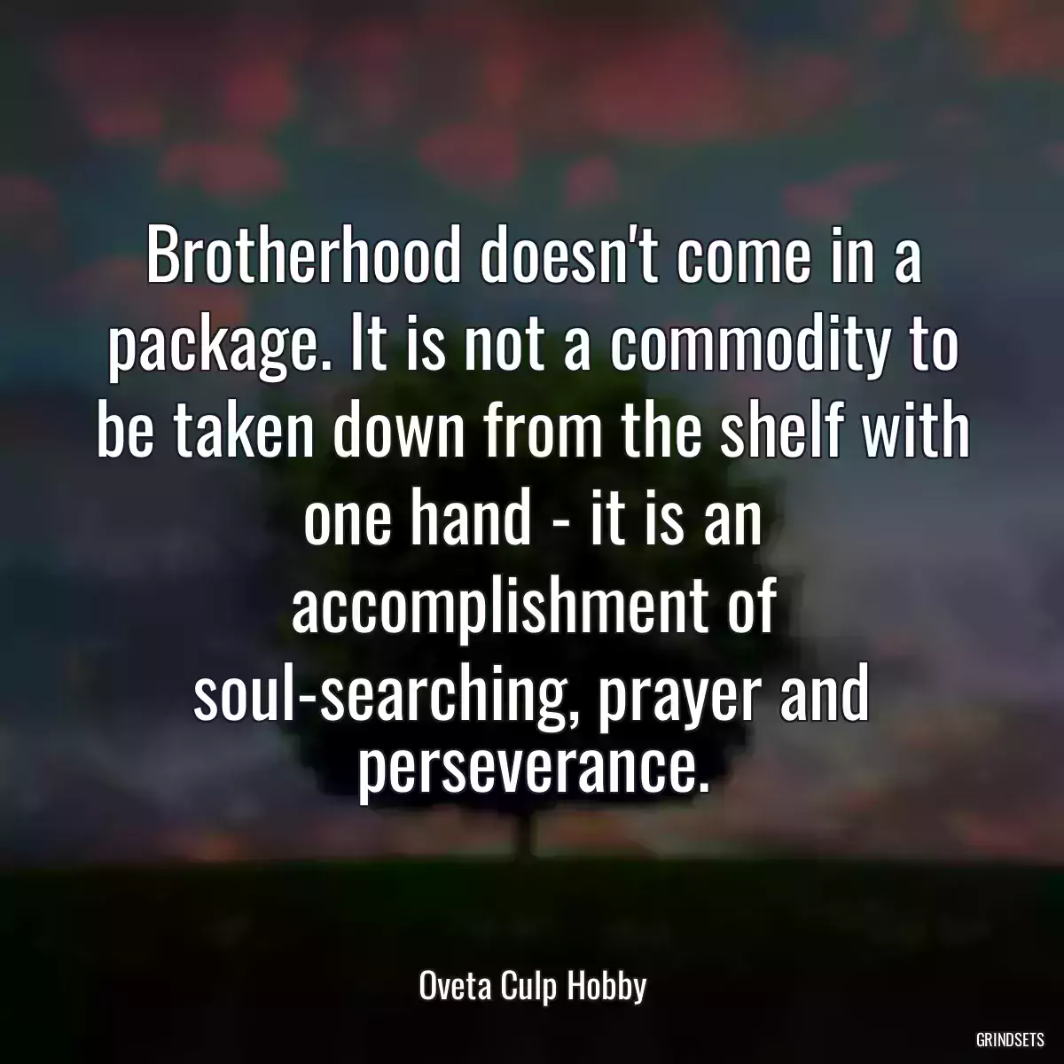 Brotherhood doesn\'t come in a package. It is not a commodity to be taken down from the shelf with one hand - it is an accomplishment of soul-searching, prayer and perseverance.