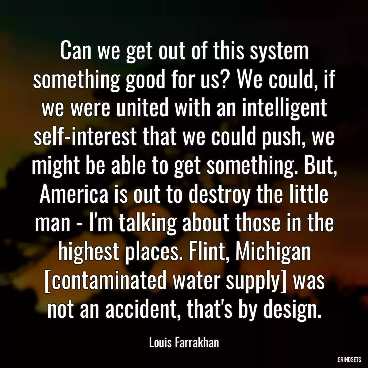 Can we get out of this system something good for us? We could, if we were united with an intelligent self-interest that we could push, we might be able to get something. But, America is out to destroy the little man - I\'m talking about those in the highest places. Flint, Michigan [contaminated water supply] was not an accident, that\'s by design.