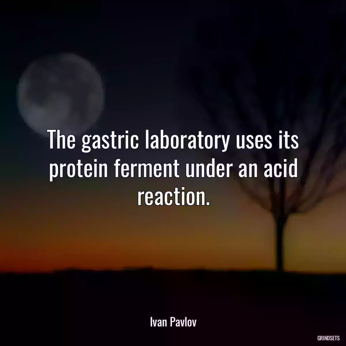 The gastric laboratory uses its protein ferment under an acid reaction.