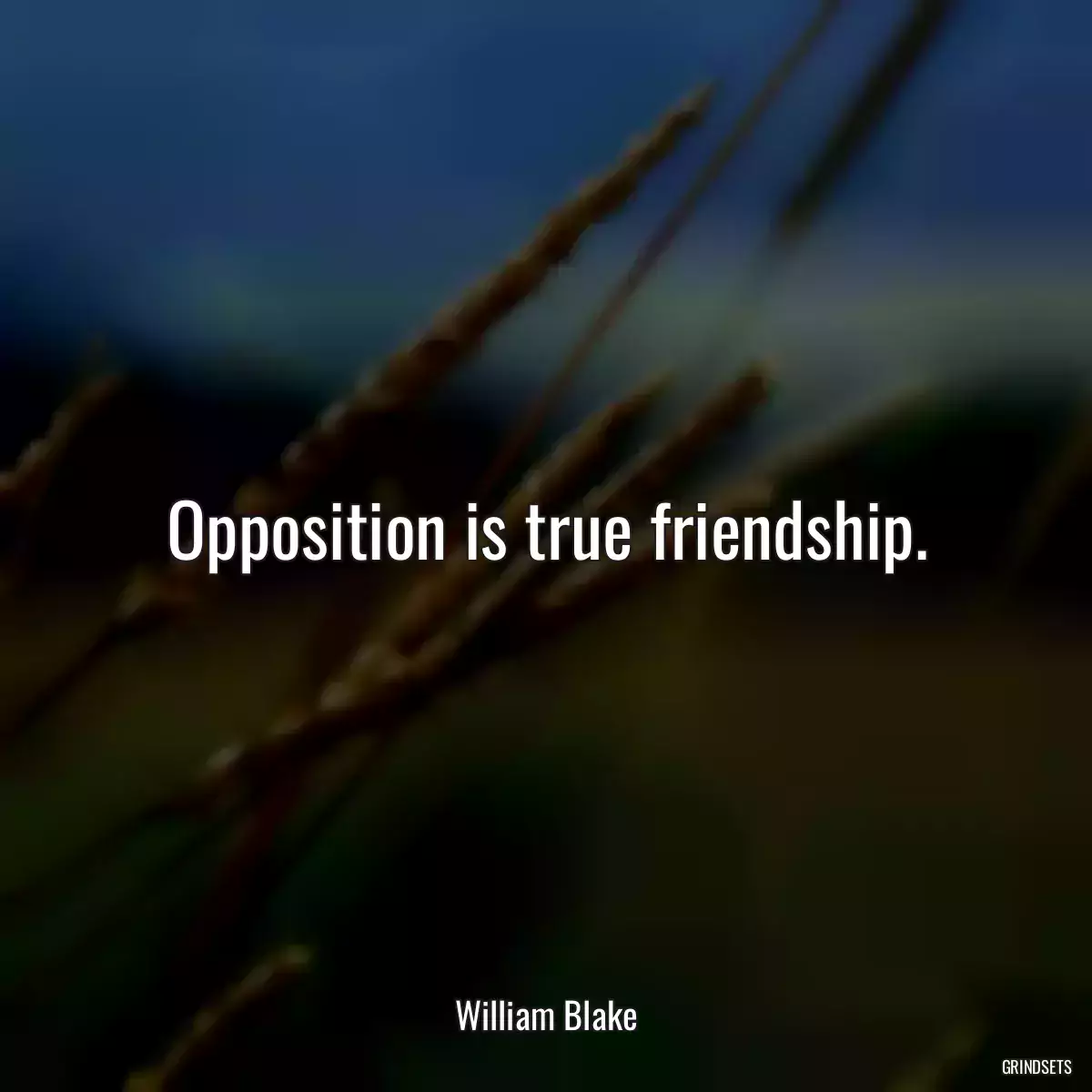 Opposition is true friendship.