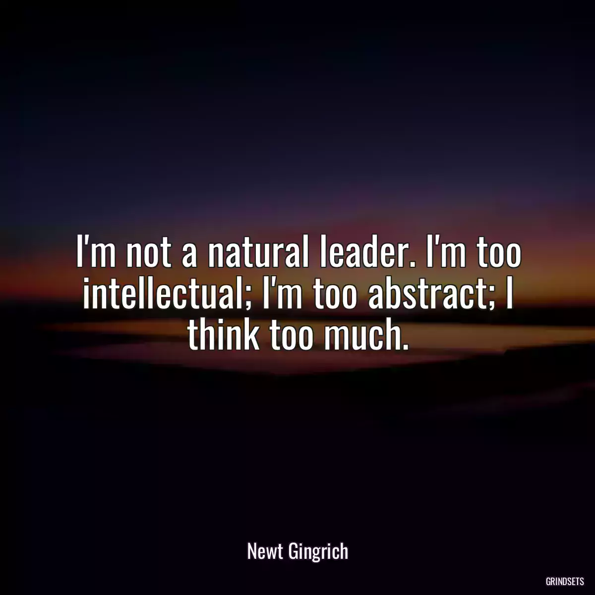 I\'m not a natural leader. I\'m too intellectual; I\'m too abstract; I think too much.