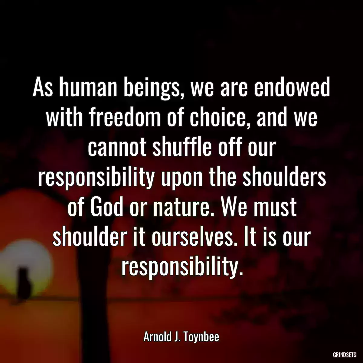 As human beings, we are endowed with freedom of choice, and we cannot shuffle off our responsibility upon the shoulders of God or nature. We must shoulder it ourselves. It is our responsibility.