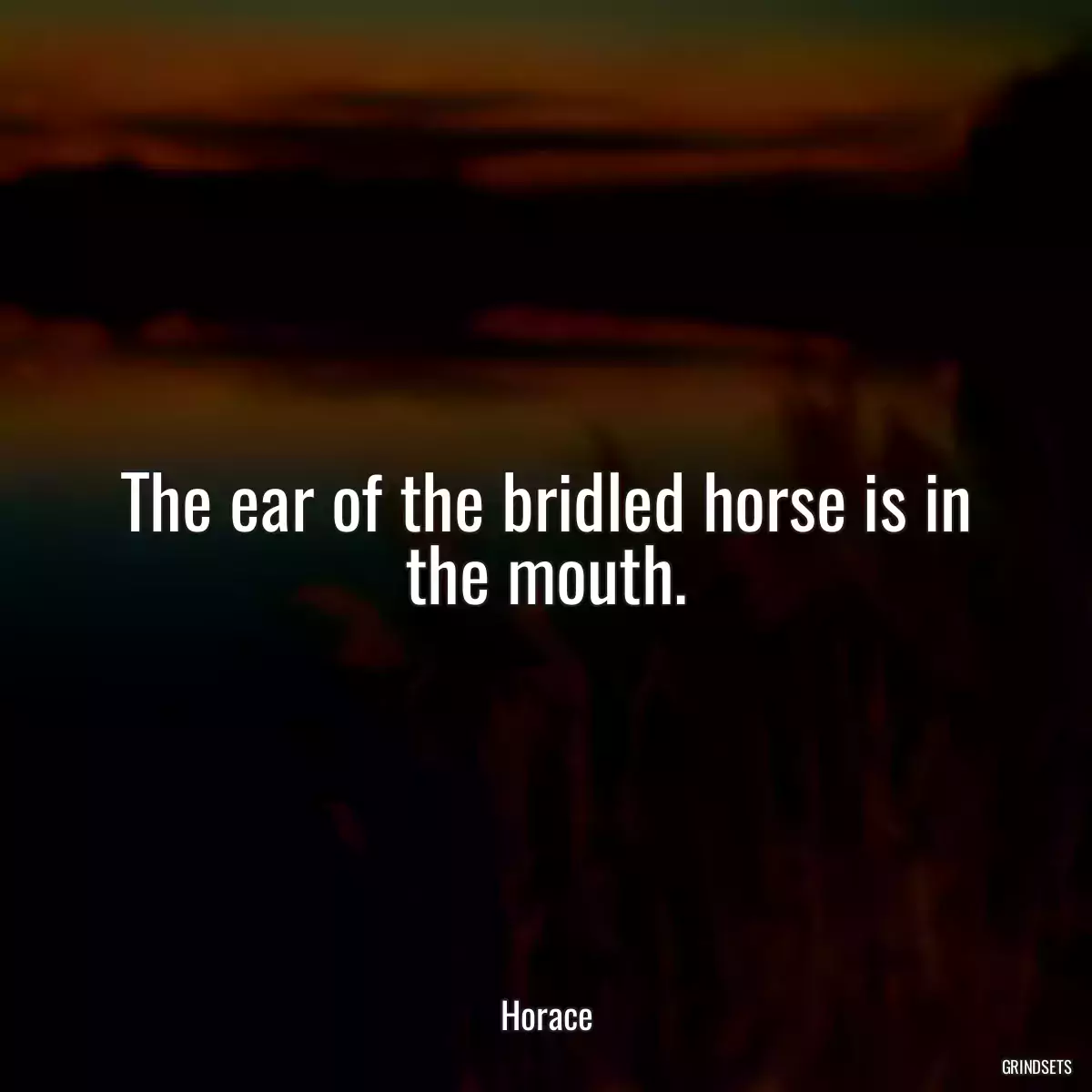 The ear of the bridled horse is in the mouth.