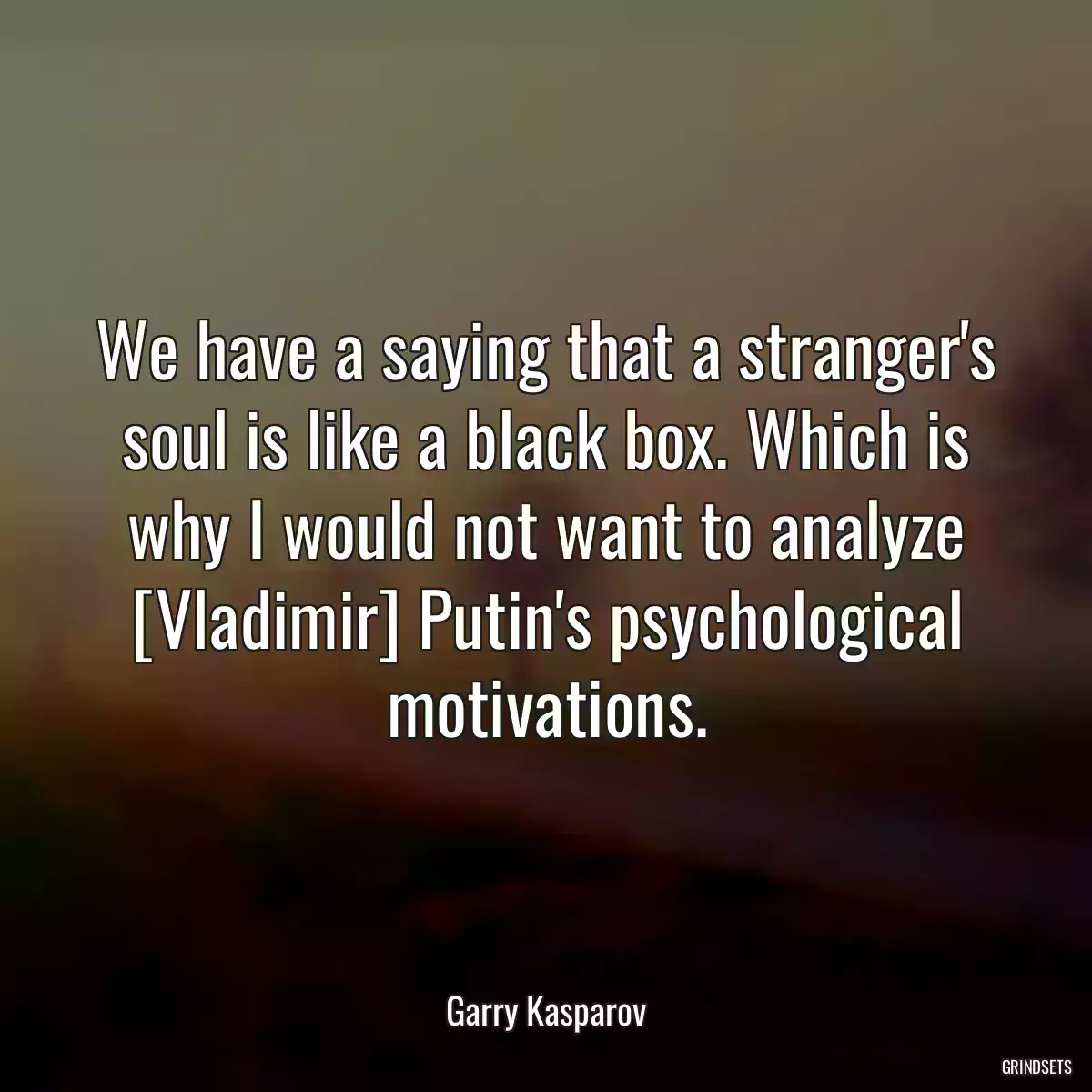 We have a saying that a stranger\'s soul is like a black box. Which is why I would not want to analyze [Vladimir] Putin\'s psychological motivations.