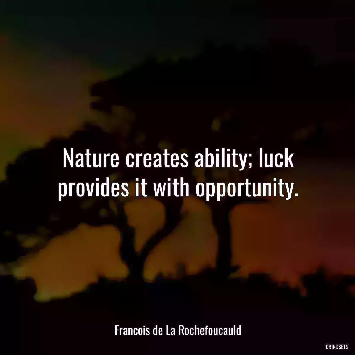 Nature creates ability; luck provides it with opportunity.