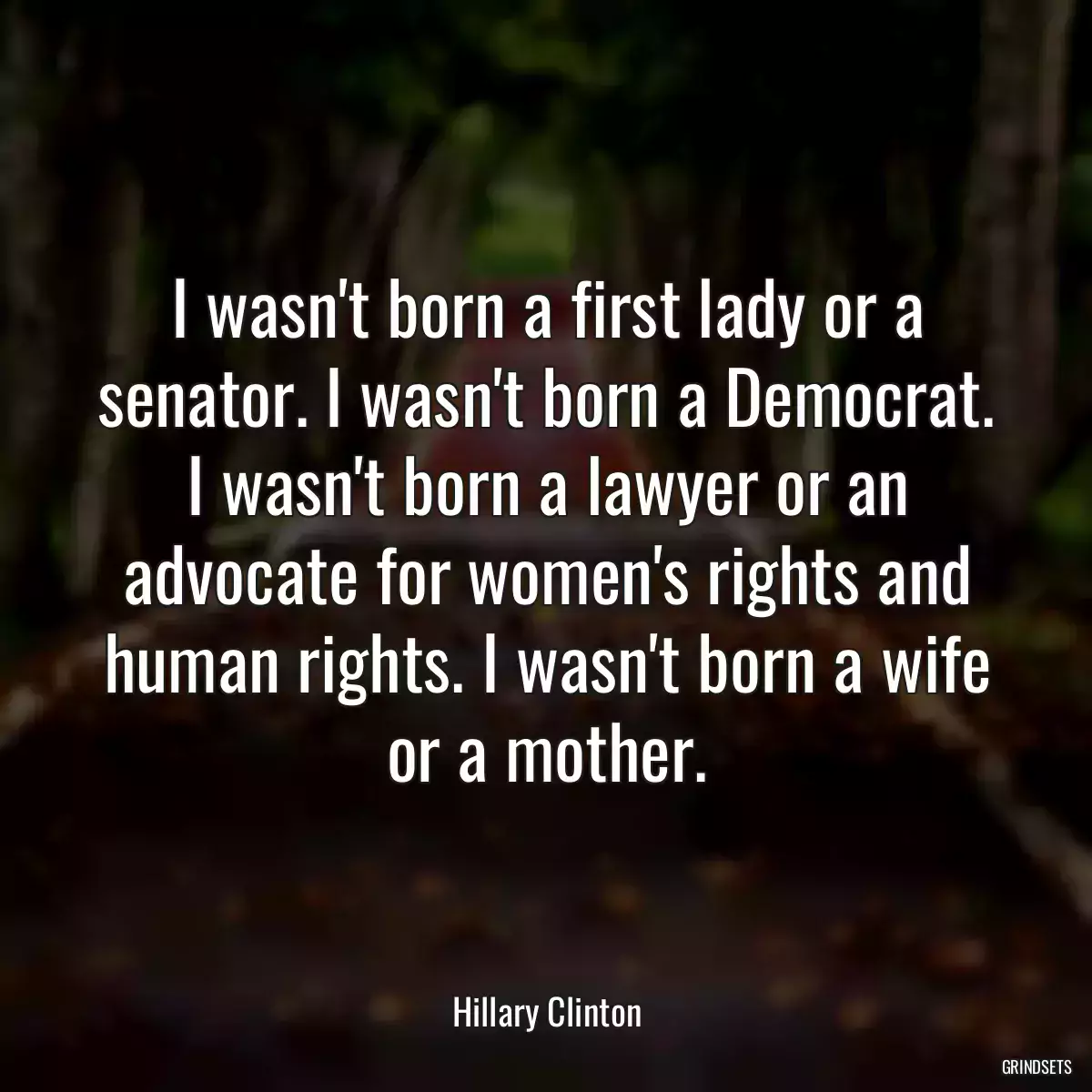 I wasn\'t born a first lady or a senator. I wasn\'t born a Democrat. I wasn\'t born a lawyer or an advocate for women\'s rights and human rights. I wasn\'t born a wife or a mother.