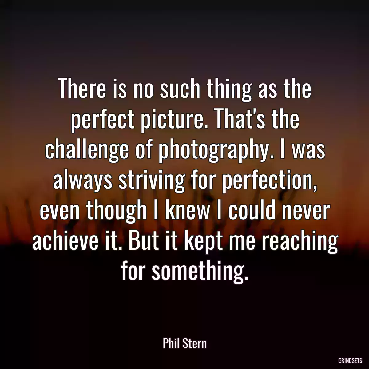 There is no such thing as the perfect picture. That\'s the challenge of photography. I was always striving for perfection, even though I knew I could never achieve it. But it kept me reaching for something.