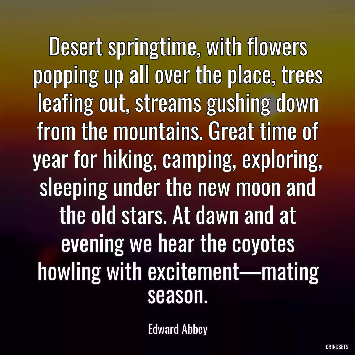 Desert springtime, with flowers popping up all over the place, trees leafing out, streams gushing down from the mountains. Great time of year for hiking, camping, exploring, sleeping under the new moon and the old stars. At dawn and at evening we hear the coyotes howling with excitement—mating season.