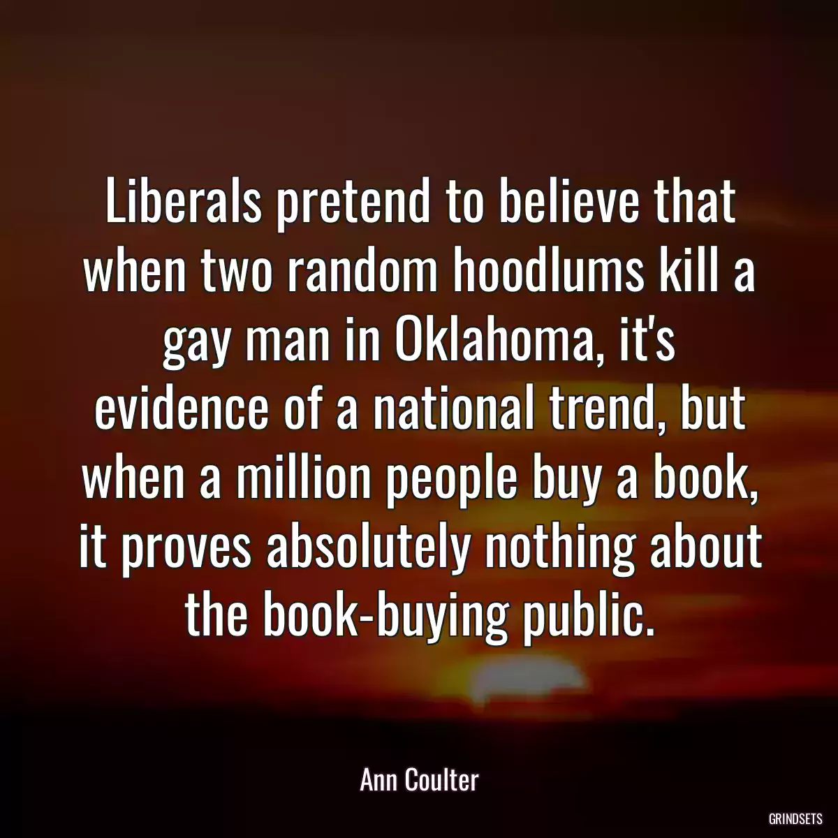 Liberals pretend to believe that when two random hoodlums kill a gay man in Oklahoma, it\'s evidence of a national trend, but when a million people buy a book, it proves absolutely nothing about the book-buying public.