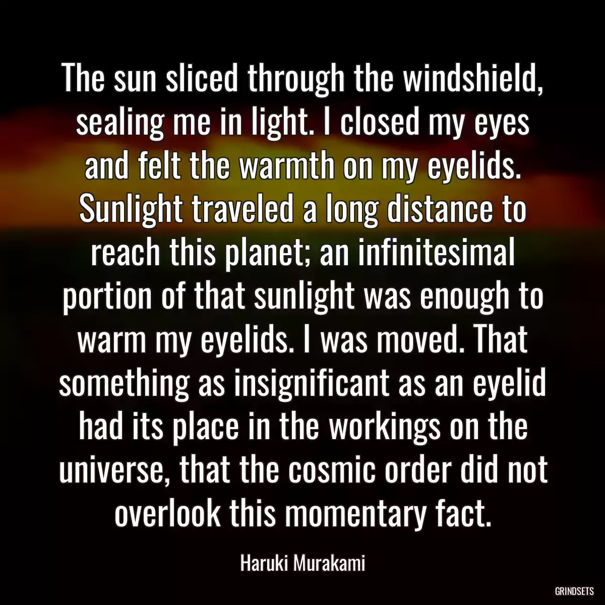 The sun sliced through the windshield, sealing me in light. I closed my eyes and felt the warmth on my eyelids. Sunlight traveled a long distance to reach this planet; an infinitesimal portion of that sunlight was enough to warm my eyelids. I was moved. That something as insignificant as an eyelid had its place in the workings on the universe, that the cosmic order did not overlook this momentary fact.