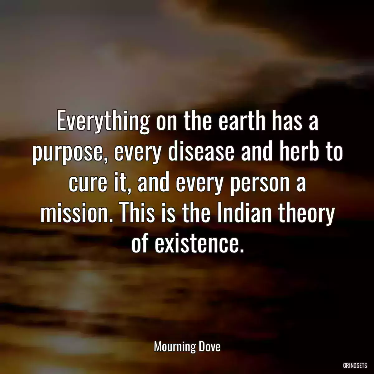 Everything on the earth has a purpose, every disease and herb to cure it, and every person a mission. This is the Indian theory of existence.