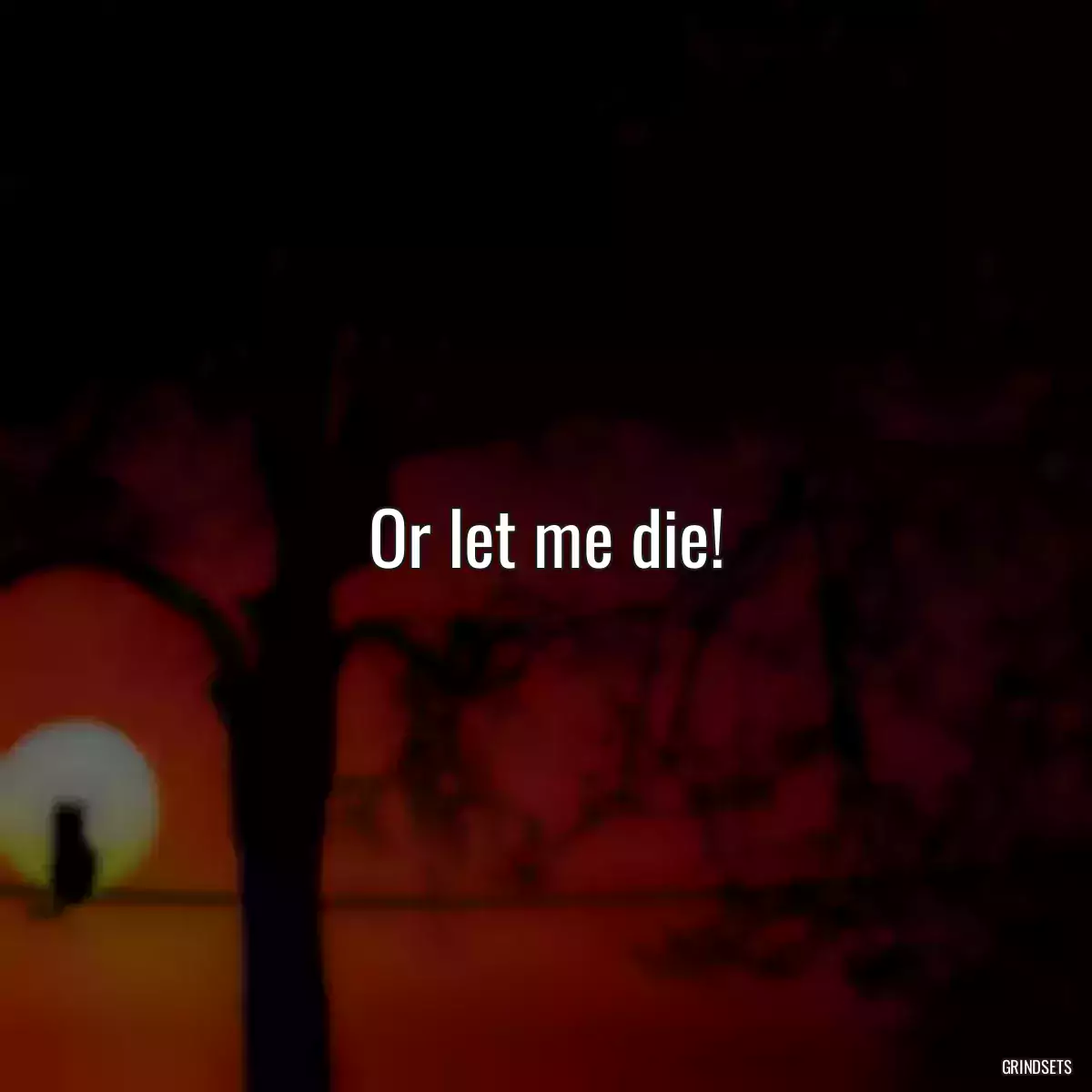 Or let me die!
