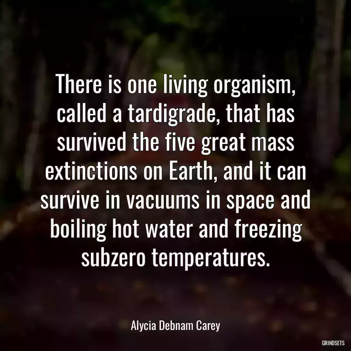 There is one living organism, called a tardigrade, that has survived the five great mass extinctions on Earth, and it can survive in vacuums in space and boiling hot water and freezing subzero temperatures.