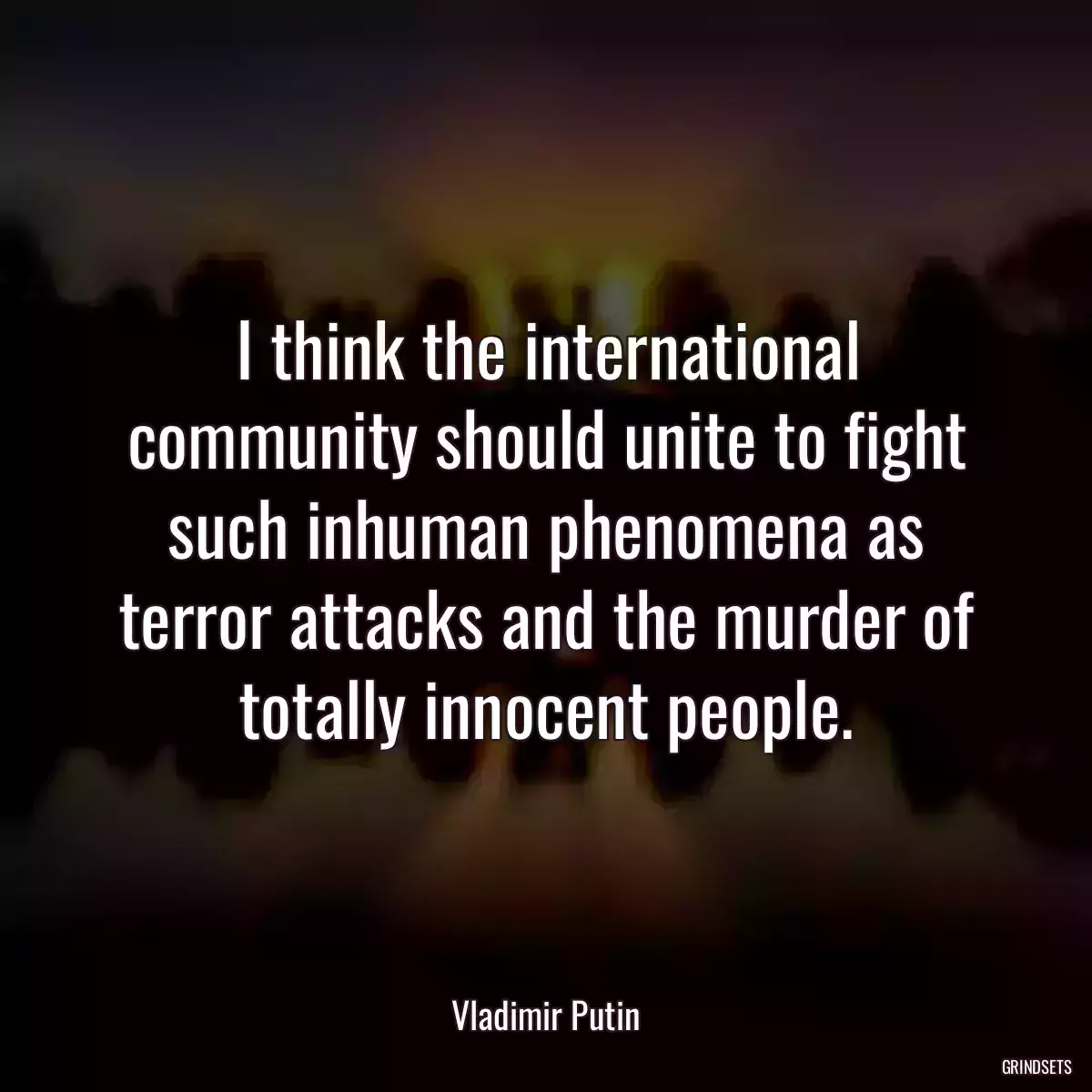 I think the international community should unite to fight such inhuman phenomena as terror attacks and the murder of totally innocent people.