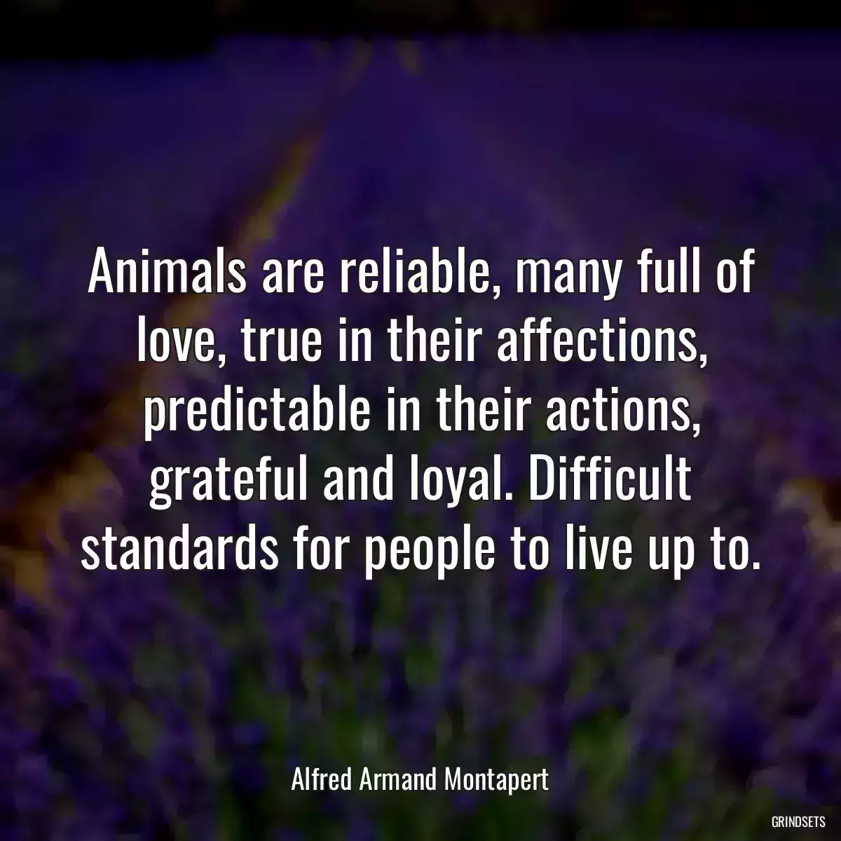 Animals are reliable, many full of love, true in their affections, predictable in their actions, grateful and loyal. Difficult standards for people to live up to.