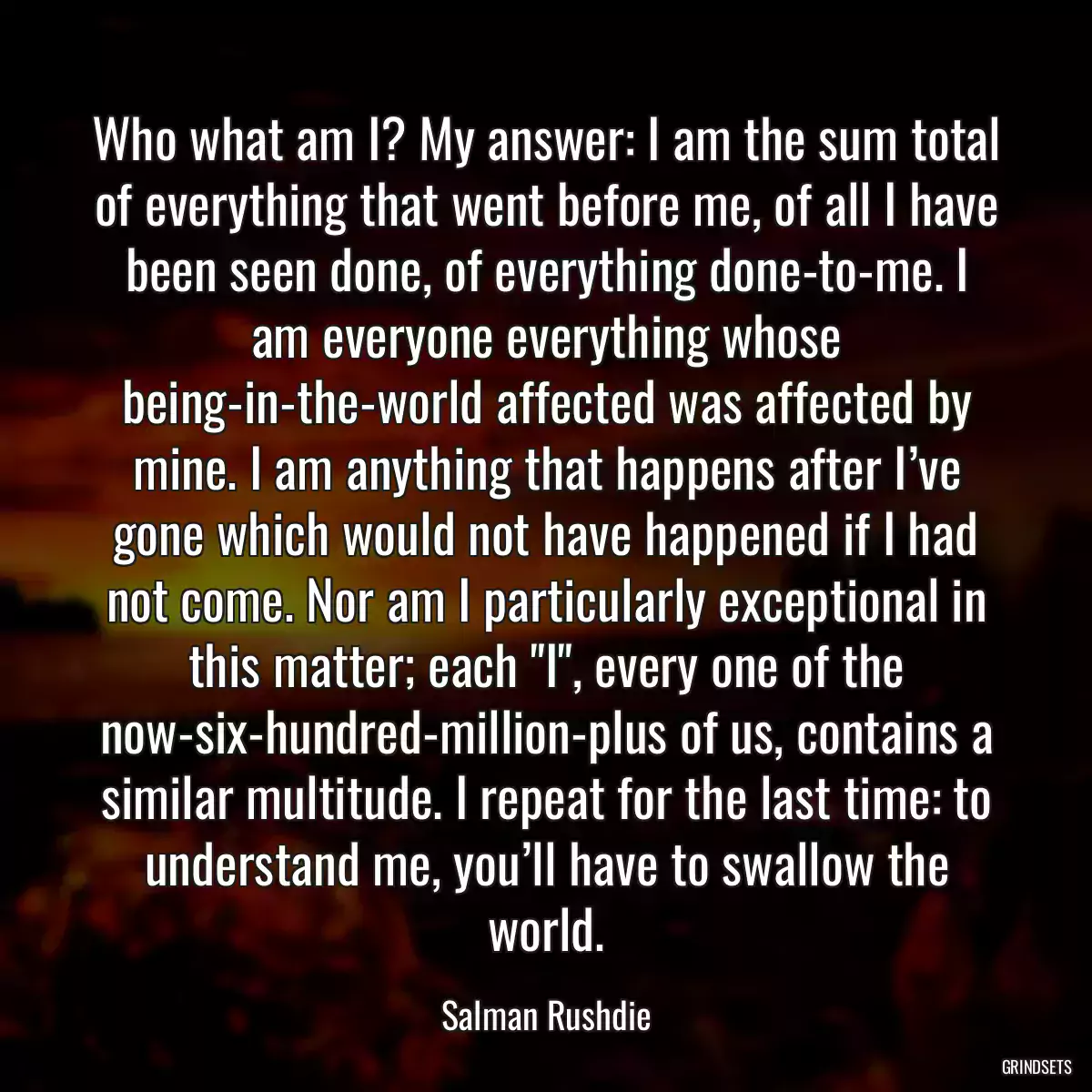 Who what am I? My answer: I am the sum total of everything that went before me, of all I have been seen done, of everything done-to-me. I am everyone everything whose being-in-the-world affected was affected by mine. I am anything that happens after I’ve gone which would not have happened if I had not come. Nor am I particularly exceptional in this matter; each \