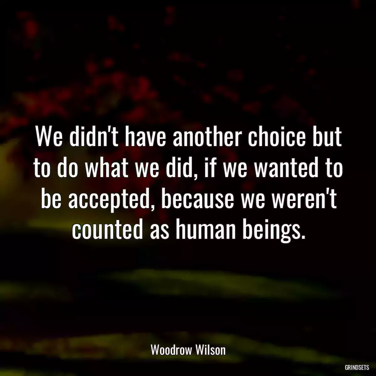 We didn\'t have another choice but to do what we did, if we wanted to be accepted, because we weren\'t counted as human beings.