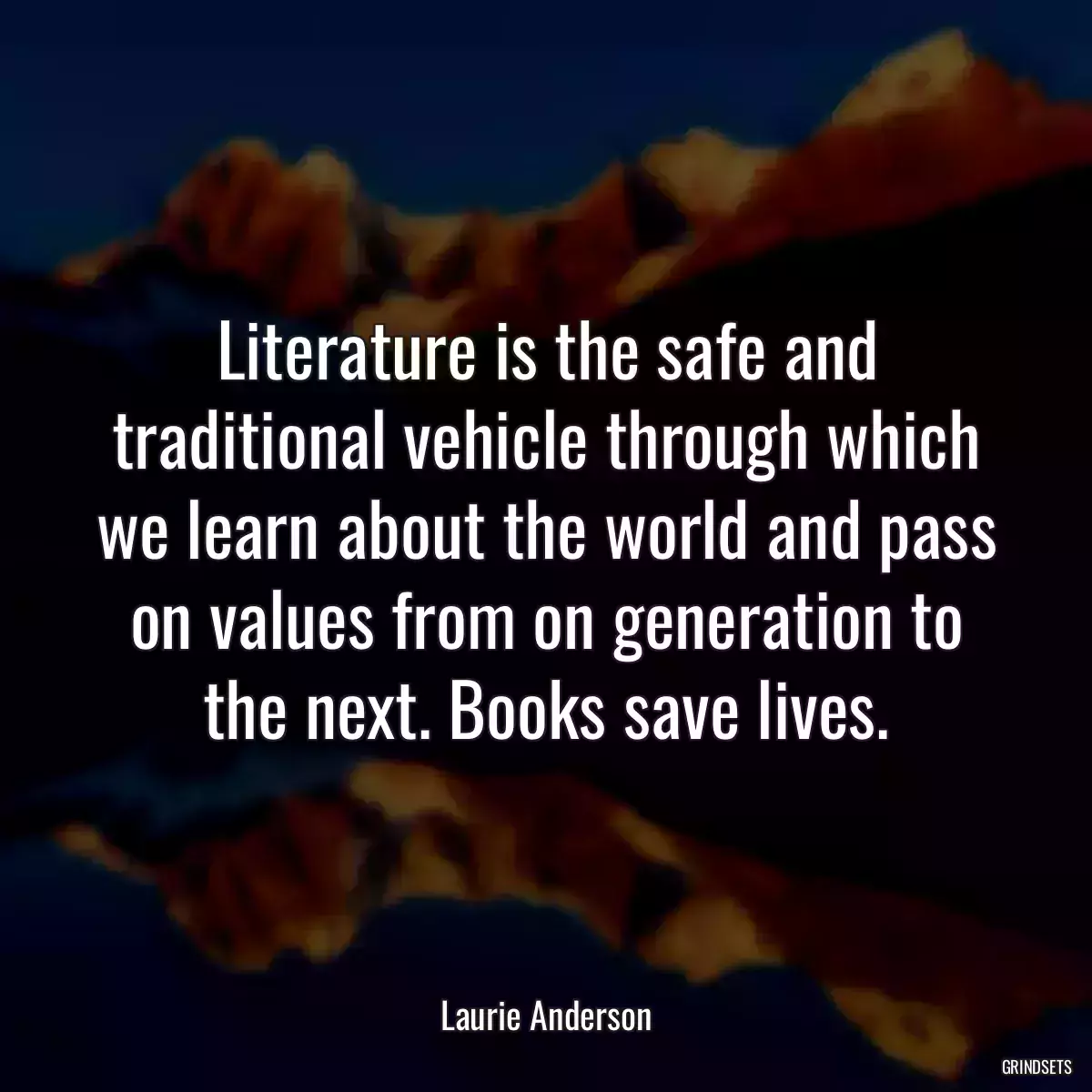 Literature is the safe and traditional vehicle through which we learn about the world and pass on values from on generation to the next. Books save lives.