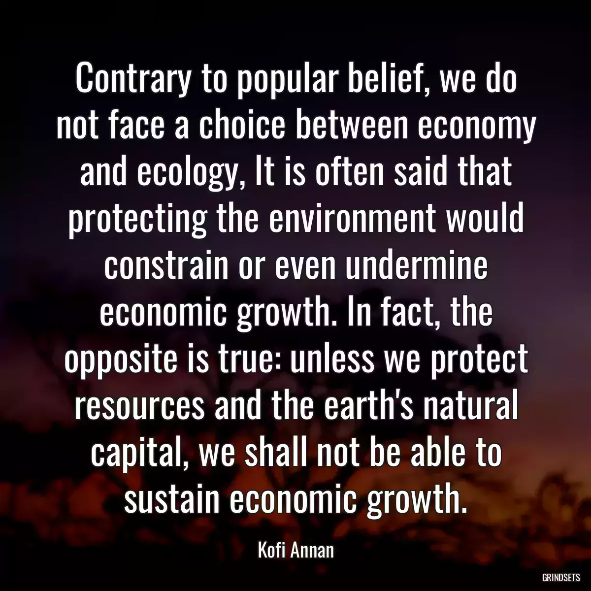 Contrary to popular belief, we do not face a choice between economy and ecology, It is often said that protecting the environment would constrain or even undermine economic growth. In fact, the opposite is true: unless we protect resources and the earth\'s natural capital, we shall not be able to sustain economic growth.