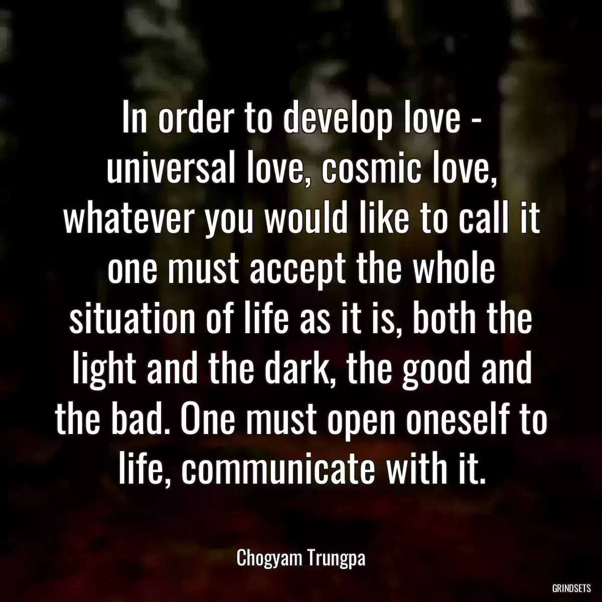 In order to develop love - universal love, cosmic love, whatever you would like to call it one must accept the whole situation of life as it is, both the light and the dark, the good and the bad. One must open oneself to life, communicate with it.