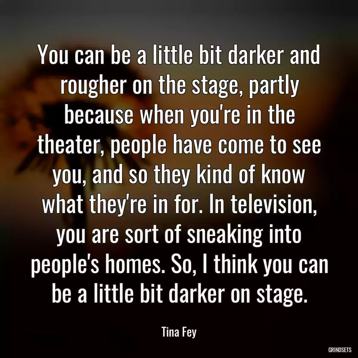 You can be a little bit darker and rougher on the stage, partly because when you\'re in the theater, people have come to see you, and so they kind of know what they\'re in for. In television, you are sort of sneaking into people\'s homes. So, I think you can be a little bit darker on stage.