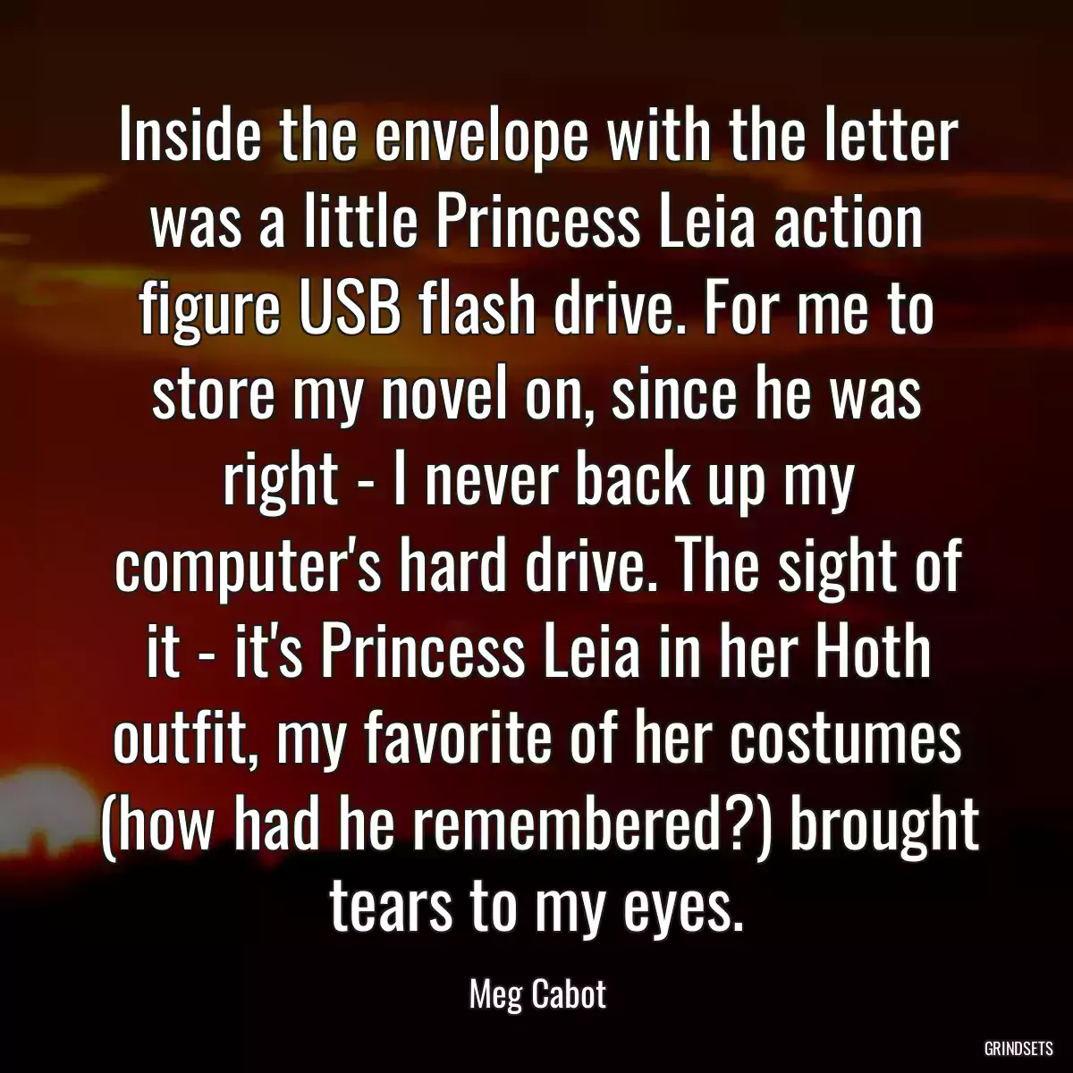 Inside the envelope with the letter was a little Princess Leia action figure USB flash drive. For me to store my novel on, since he was right - I never back up my computer\'s hard drive. The sight of it - it\'s Princess Leia in her Hoth outfit, my favorite of her costumes (how had he remembered?) brought tears to my eyes.