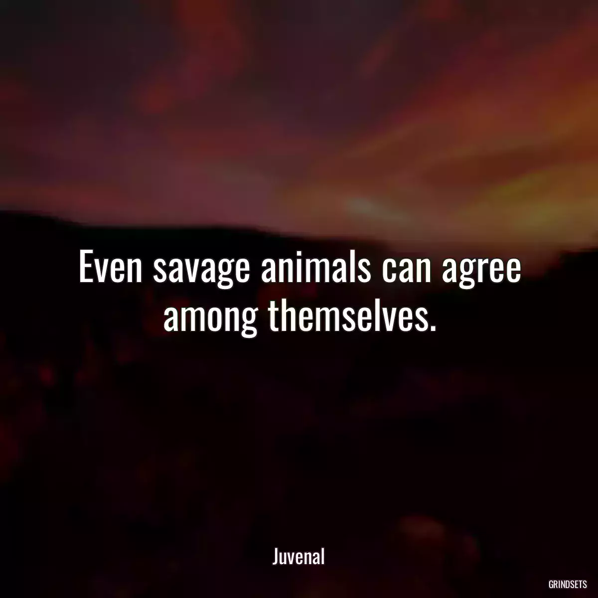 Even savage animals can agree among themselves.