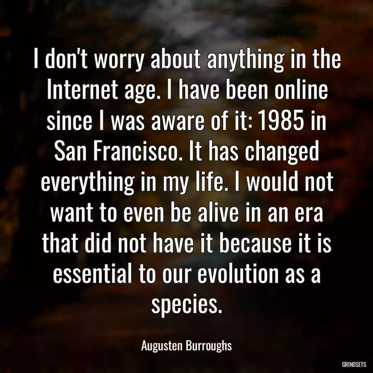 I don\'t worry about anything in the Internet age. I have been online since I was aware of it: 1985 in San Francisco. It has changed everything in my life. I would not want to even be alive in an era that did not have it because it is essential to our evolution as a species.