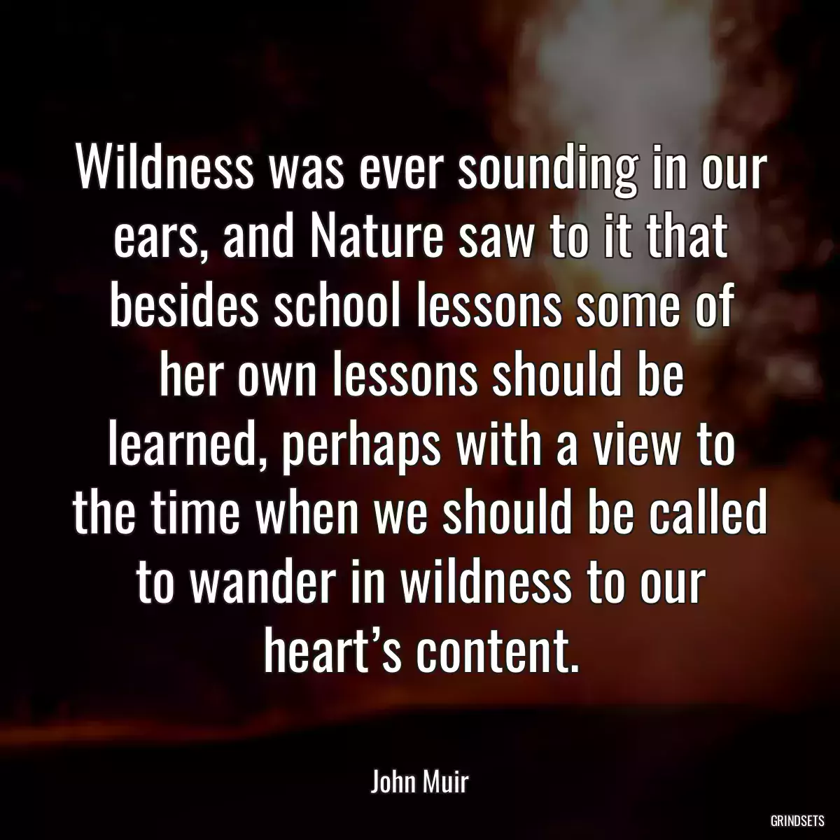 Wildness was ever sounding in our ears, and Nature saw to it that besides school lessons some of her own lessons should be learned, perhaps with a view to the time when we should be called to wander in wildness to our heart’s content.