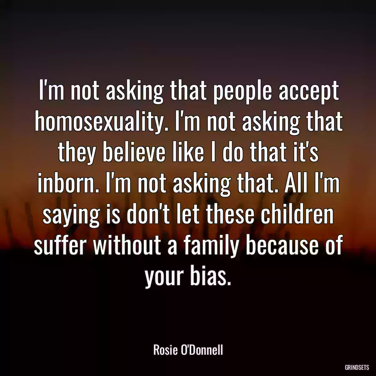 I\'m not asking that people accept homosexuality. I\'m not asking that they believe like I do that it\'s inborn. I\'m not asking that. All I\'m saying is don\'t let these children suffer without a family because of your bias.