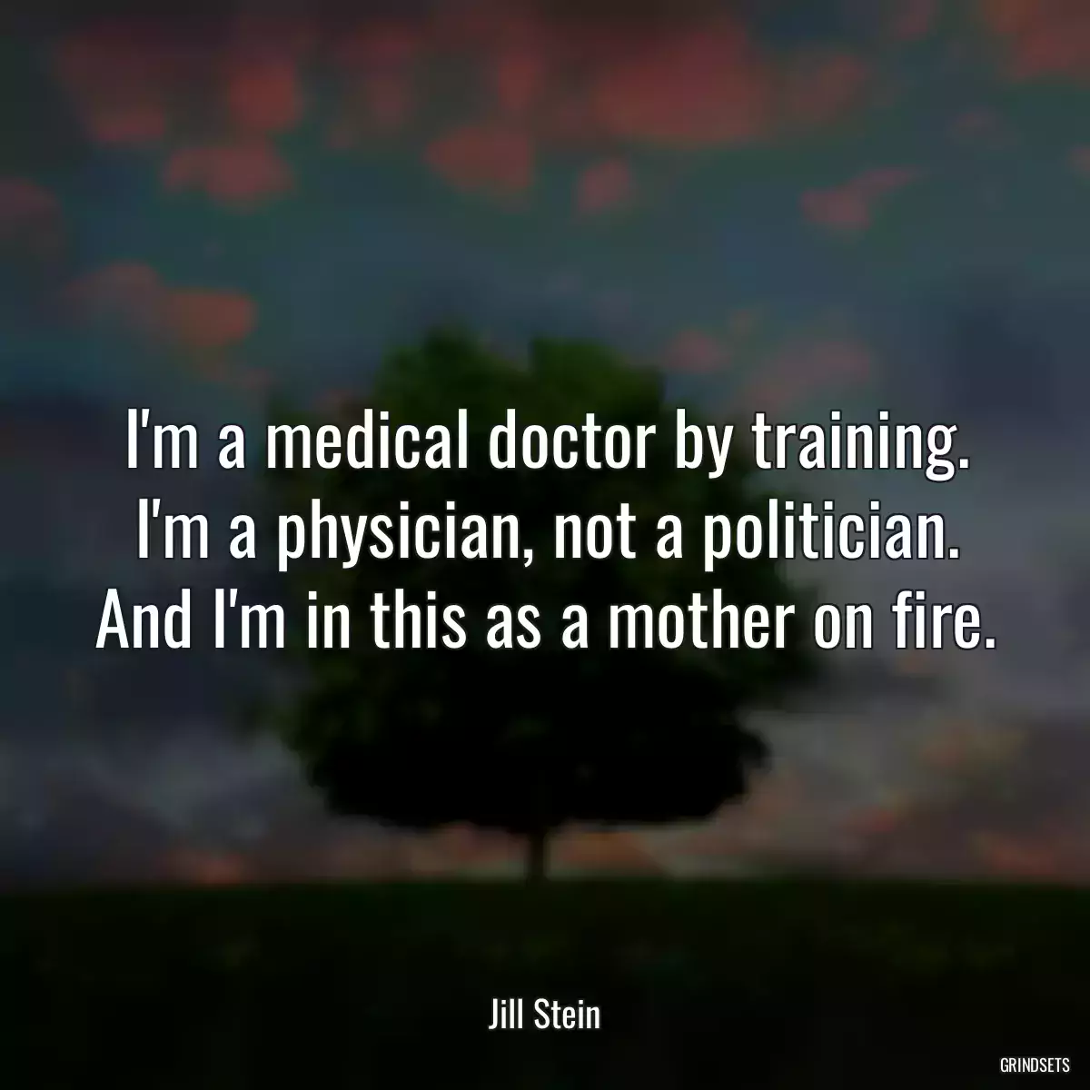 I\'m a medical doctor by training. I\'m a physician, not a politician. And I\'m in this as a mother on fire.