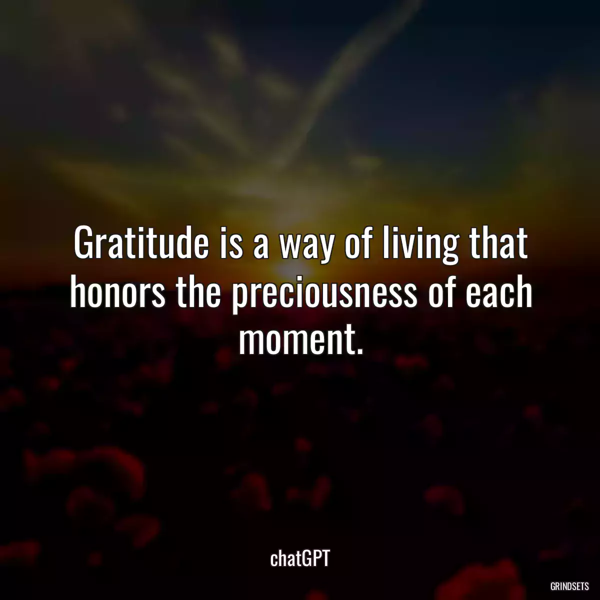 Gratitude is a way of living that honors the preciousness of each moment.