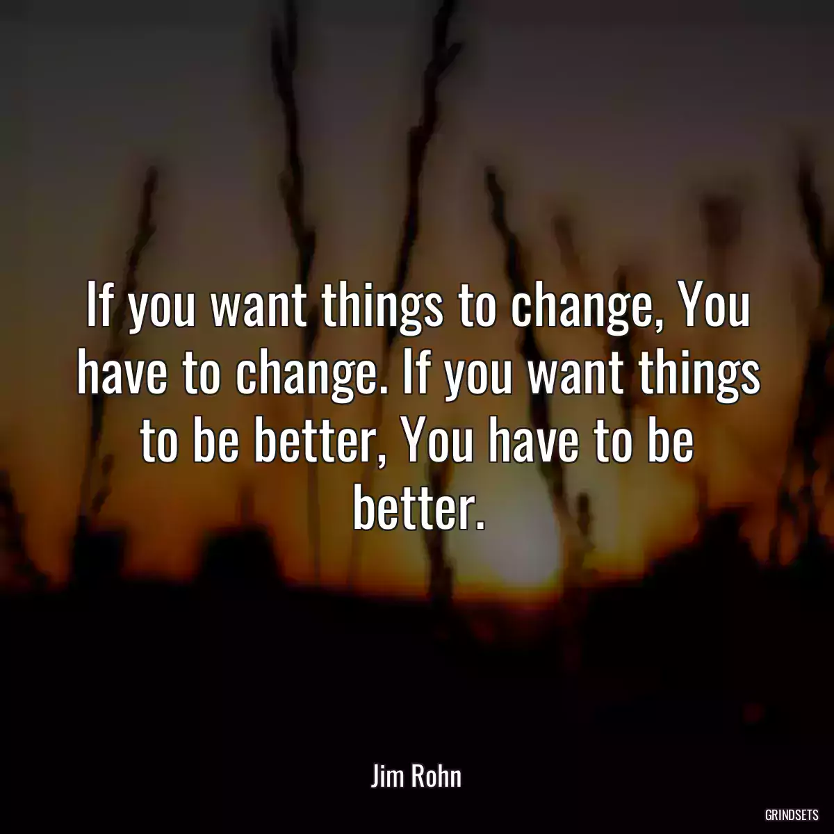 If you want things to change, You have to change. If you want things to be better, You have to be better.