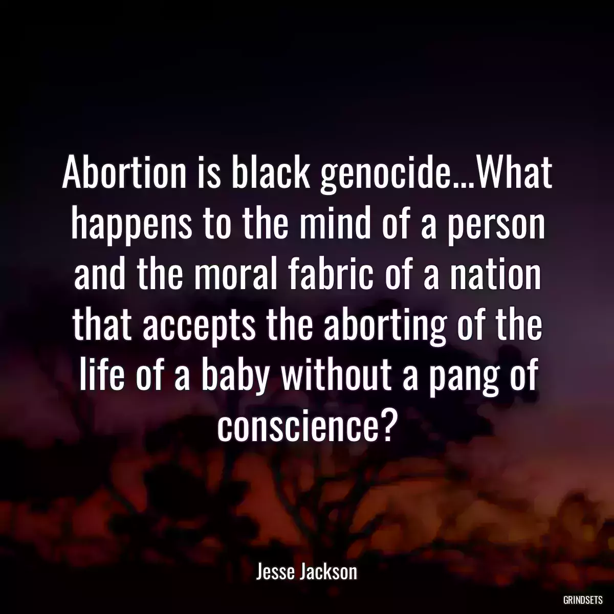 Abortion is black genocide...What happens to the mind of a person and the moral fabric of a nation that accepts the aborting of the life of a baby without a pang of conscience?