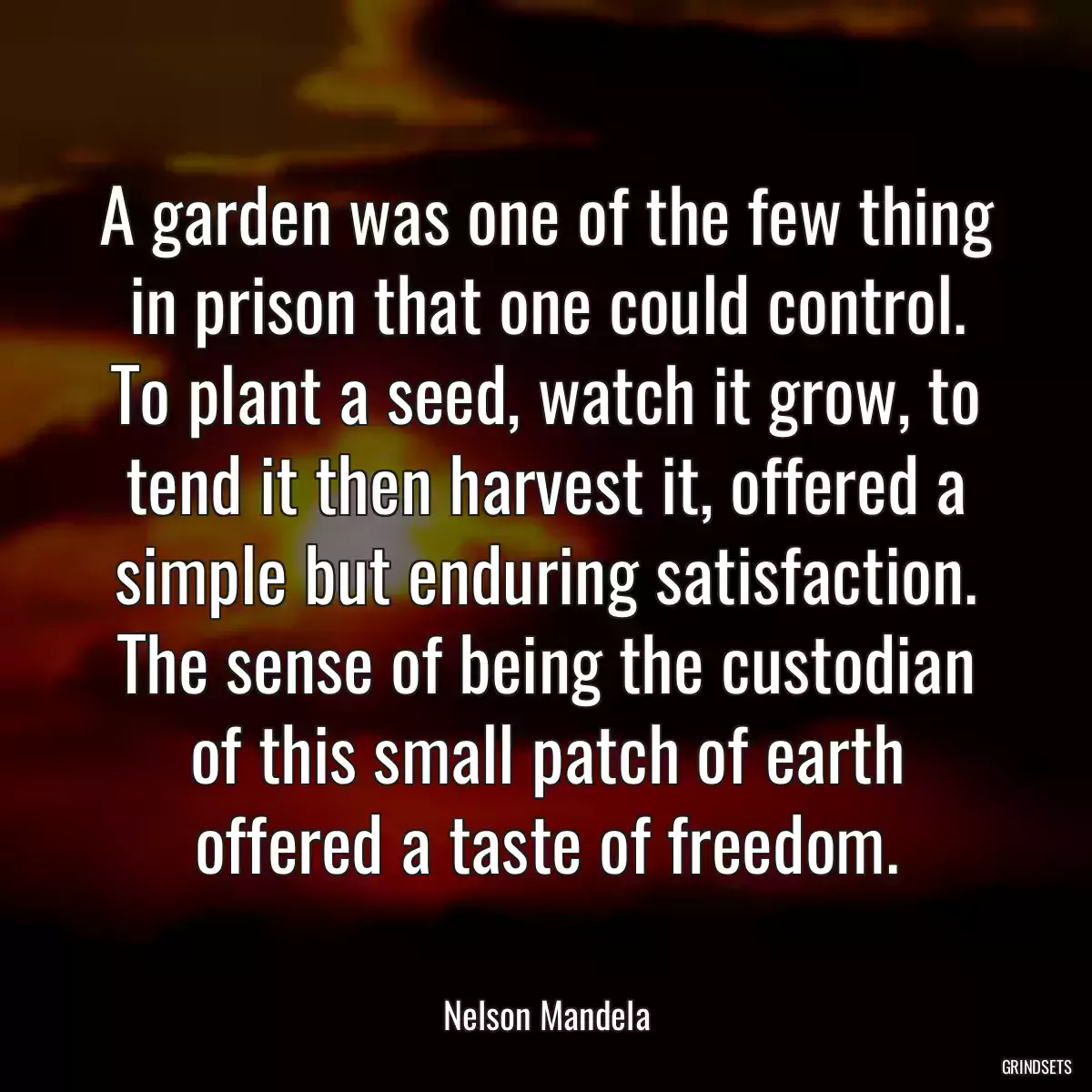 A garden was one of the few thing in prison that one could control. To plant a seed, watch it grow, to tend it then harvest it, offered a simple but enduring satisfaction. The sense of being the custodian of this small patch of earth offered a taste of freedom.