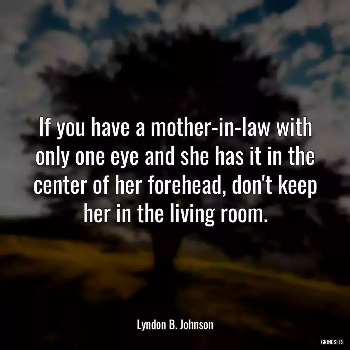 If you have a mother-in-law with only one eye and she has it in the center of her forehead, don\'t keep her in the living room.