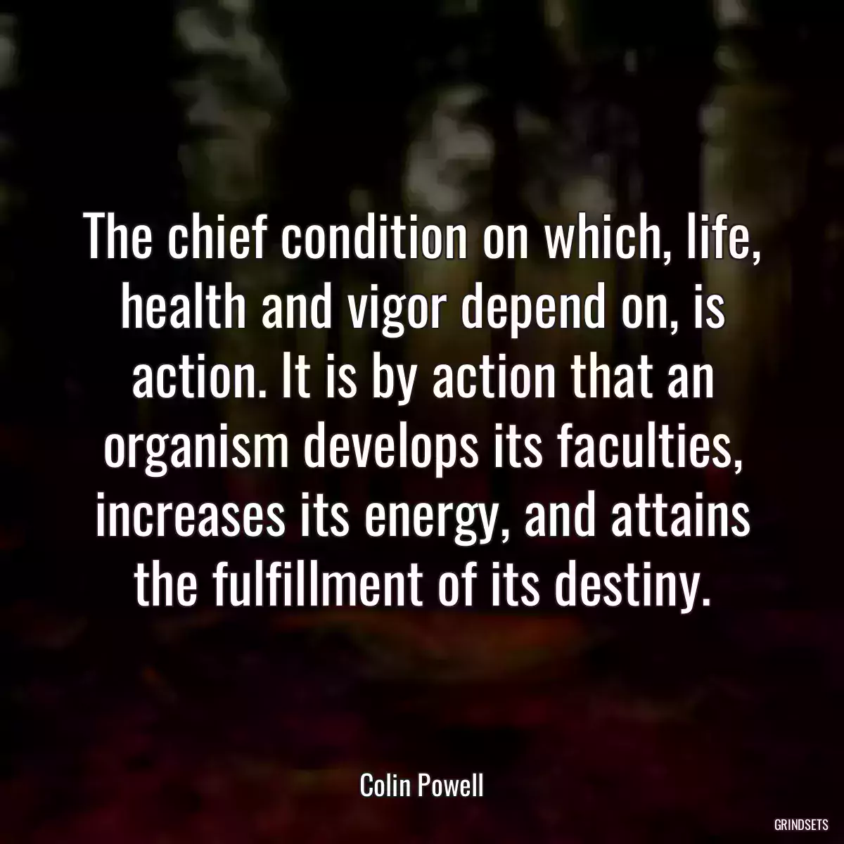 The chief condition on which, life, health and vigor depend on, is action. It is by action that an organism develops its faculties, increases its energy, and attains the fulfillment of its destiny.