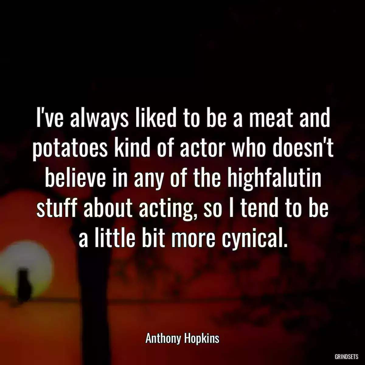 I\'ve always liked to be a meat and potatoes kind of actor who doesn\'t believe in any of the highfalutin stuff about acting, so I tend to be a little bit more cynical.